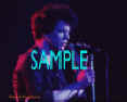 Lou Reed