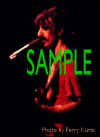 Frank Zappa